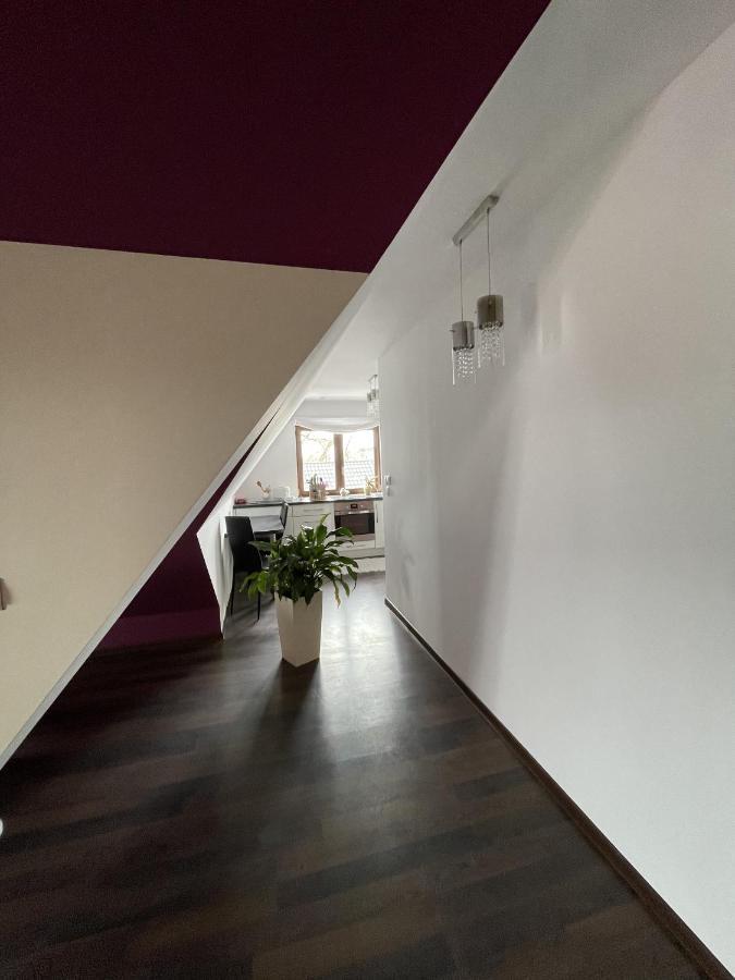 Apartament Podczerwone Czarny Dunajec Exterior foto