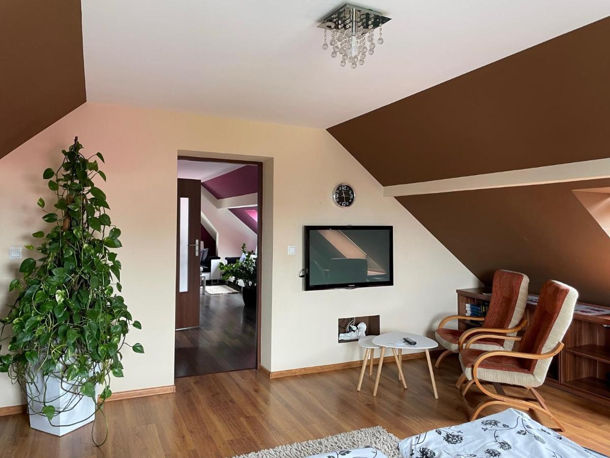 Apartament Podczerwone Czarny Dunajec Exterior foto